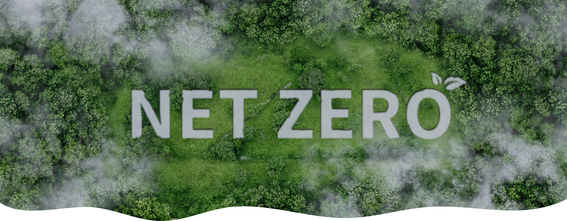 Net Zero